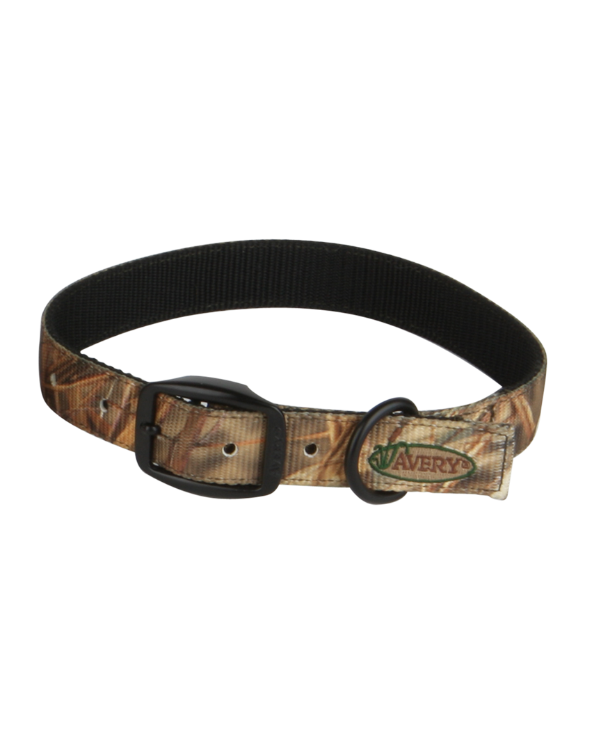 Standard Dog Collar