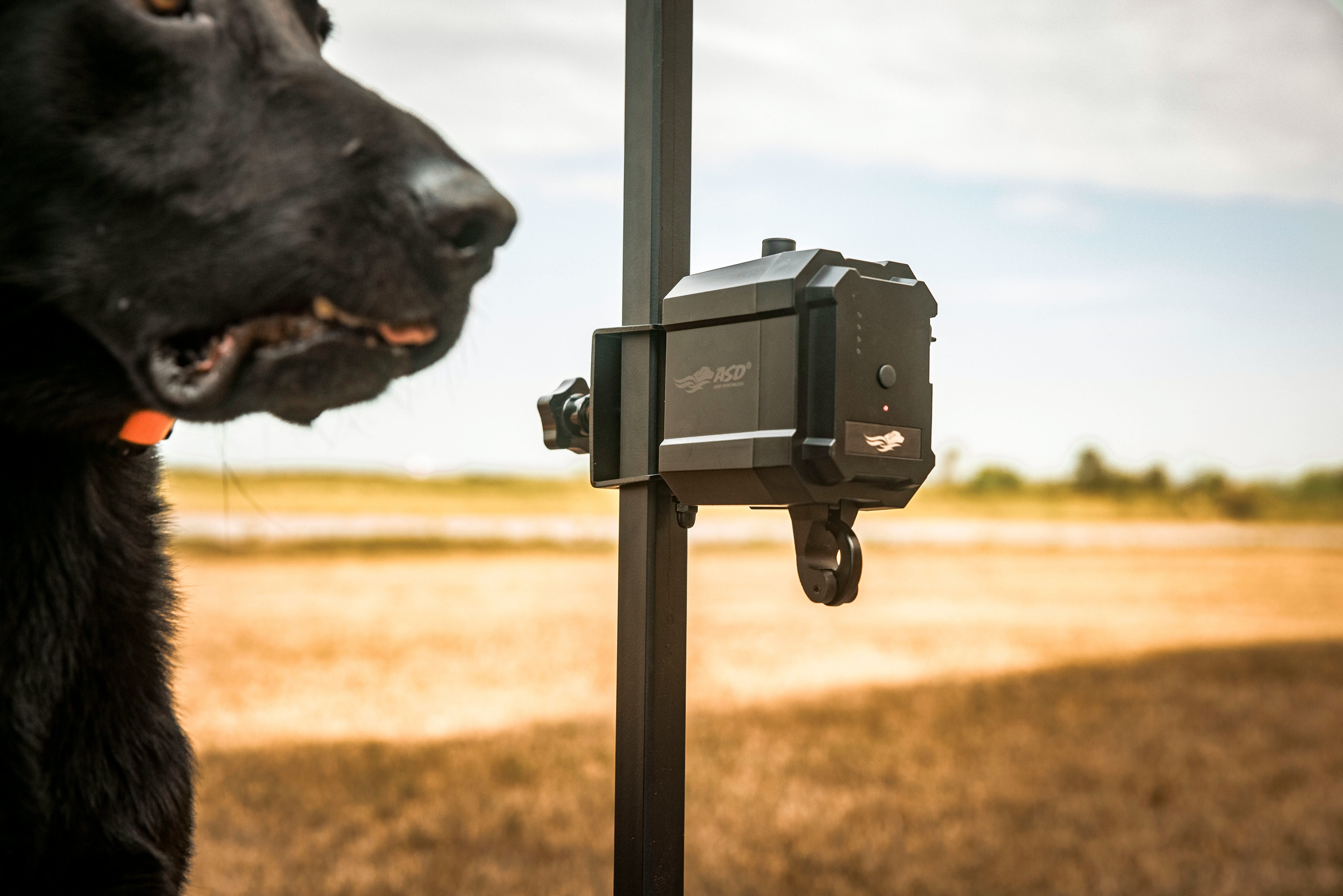 No Break Safety System