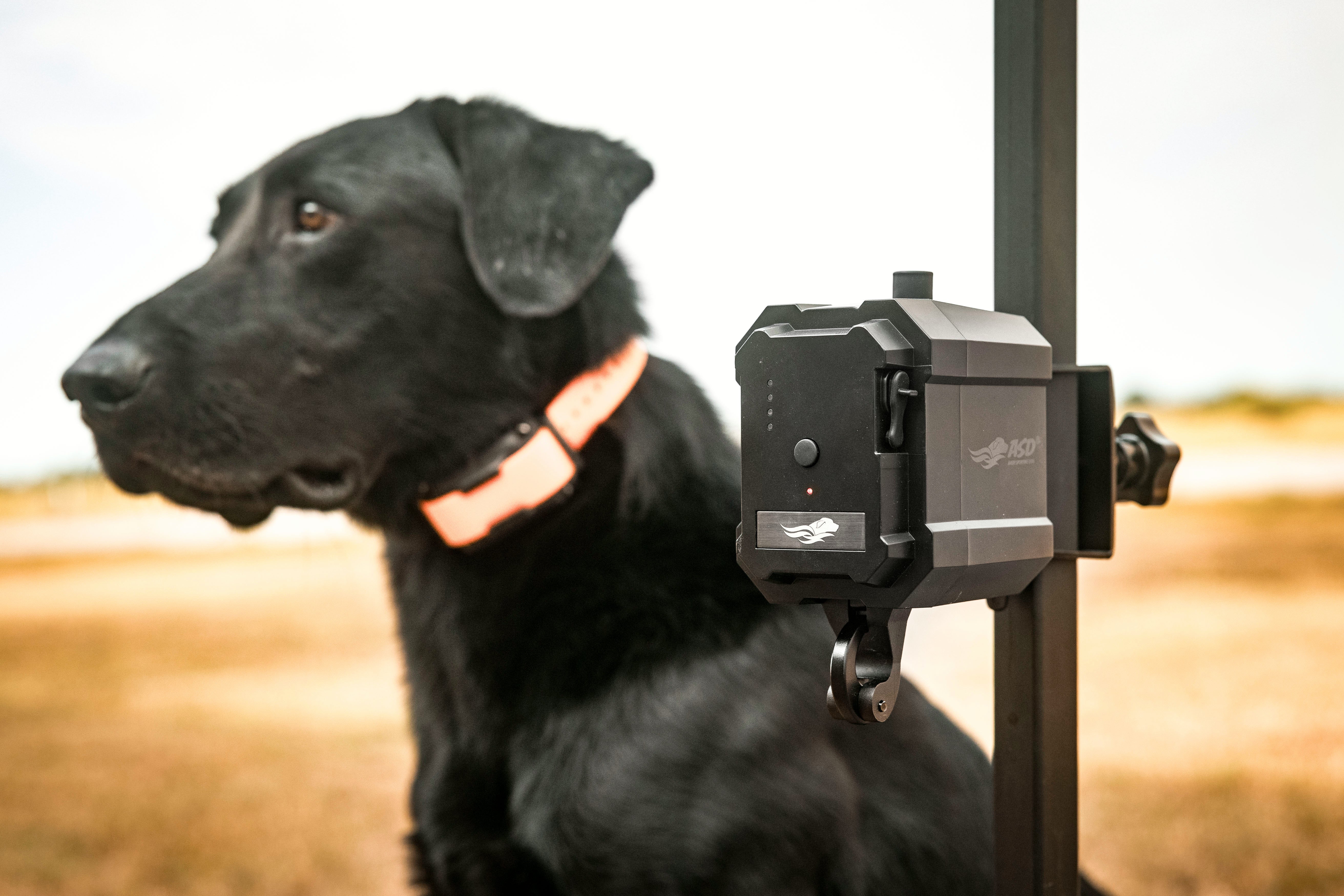 No Break Safety System