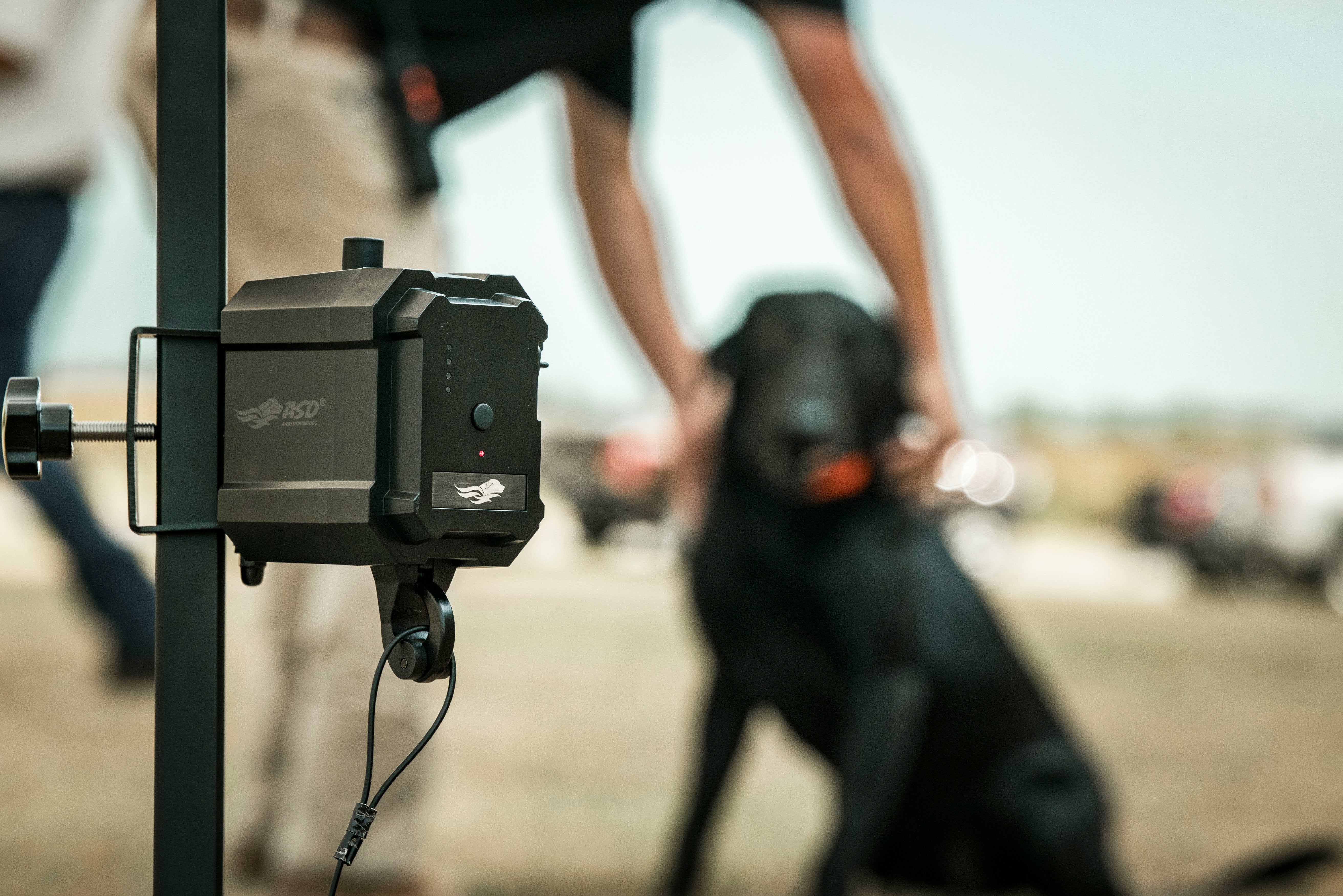 No Break Safety System