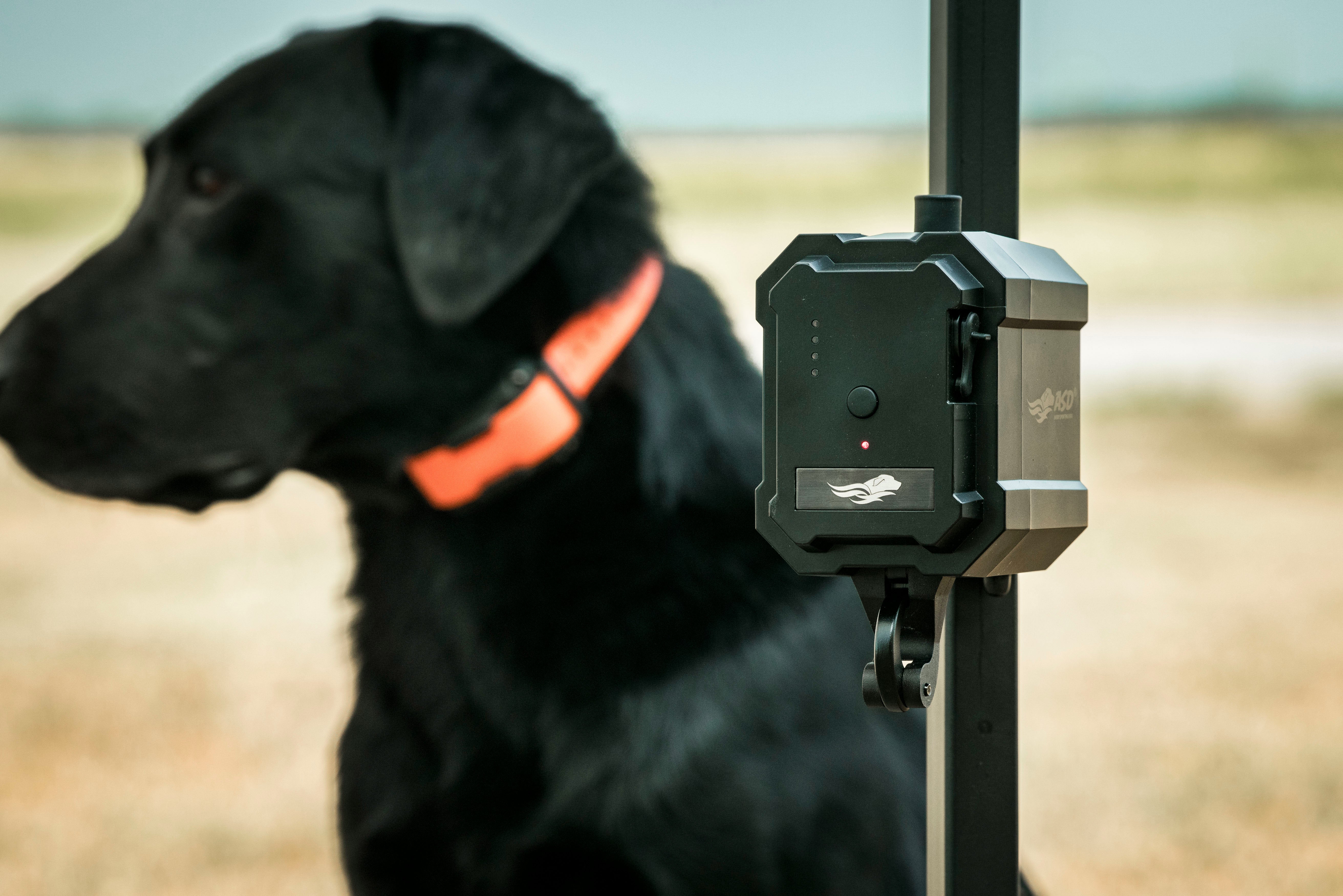 No Break Safety System