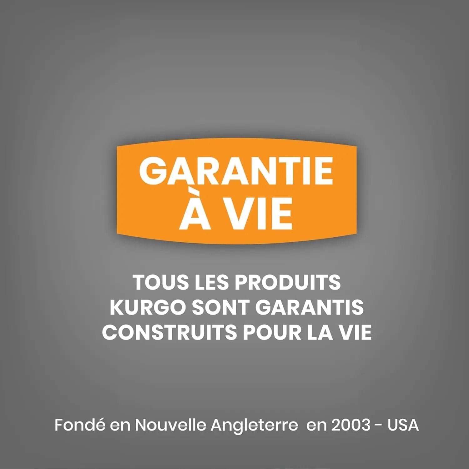 Nomad Carrier Backpack - Airline Approved Dog Bag for Travel - Stylish Pet Backpack with Waterproof Bottom - Lightweight for Hiking - Small Breed Dog Carrier with Tablet Sleeve - Blue