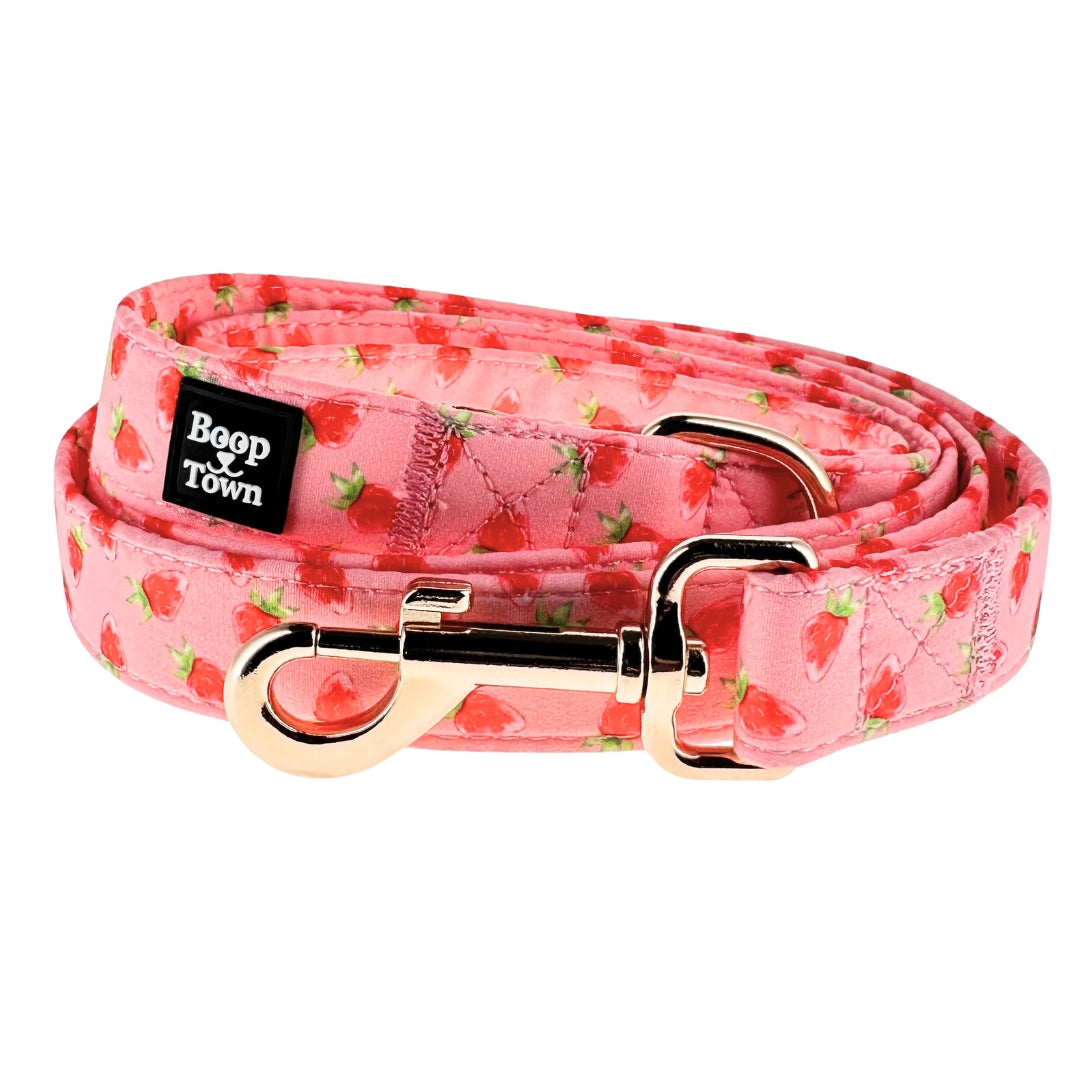 Strawberries Leash