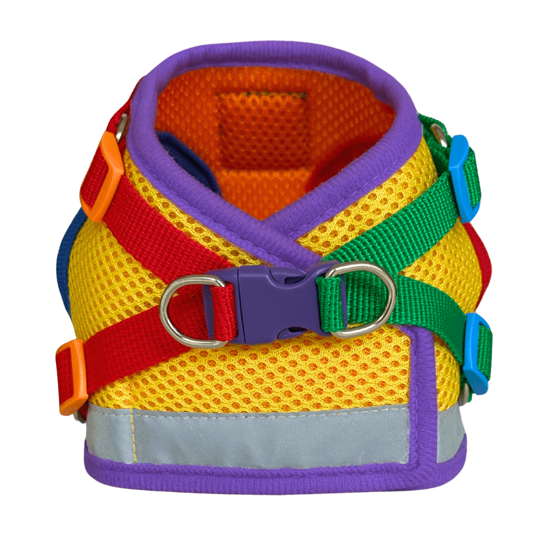 "The Rainbow" Limited Edition Cat Harness & Leash Set