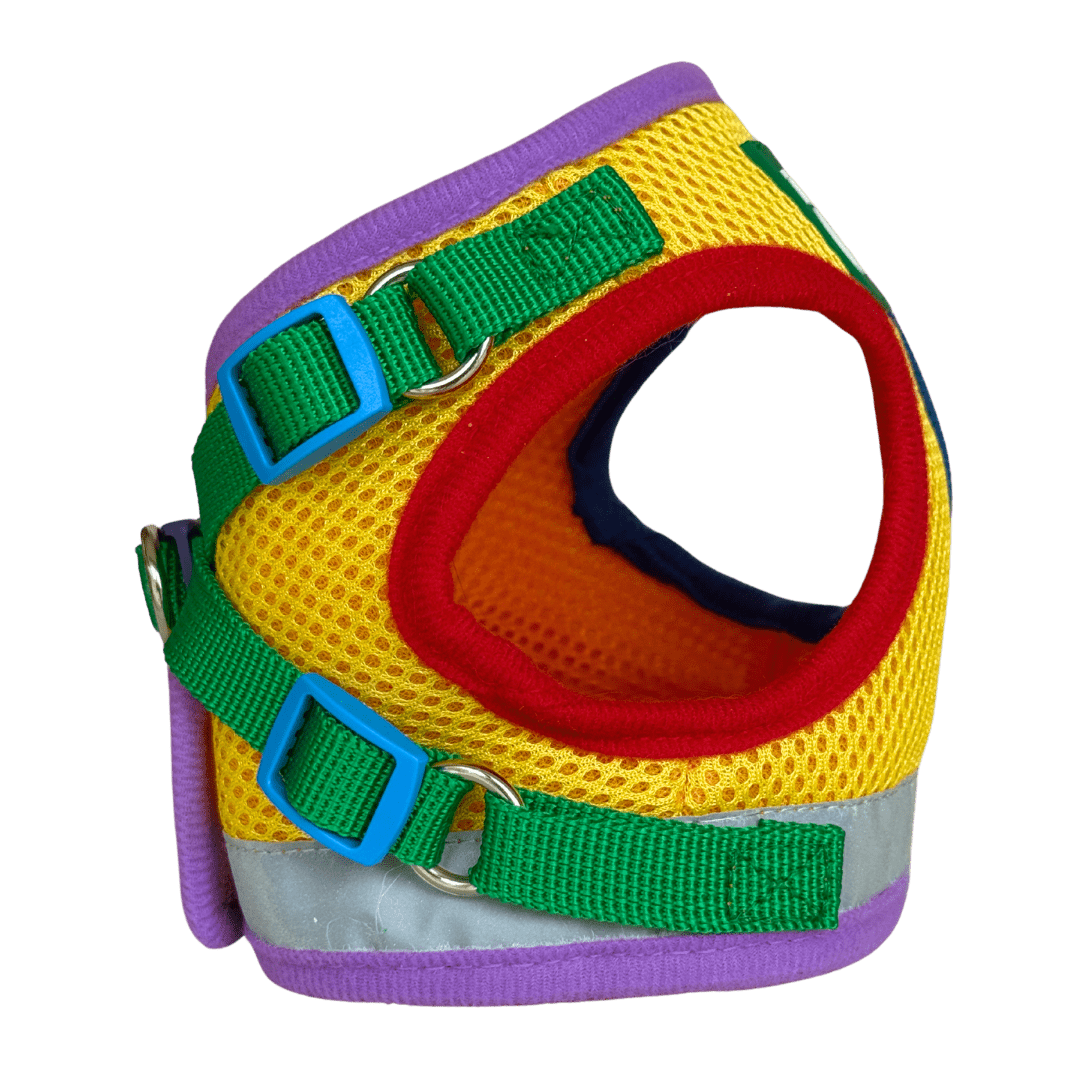 "The Rainbow" Limited Edition Cat Harness & Leash Set