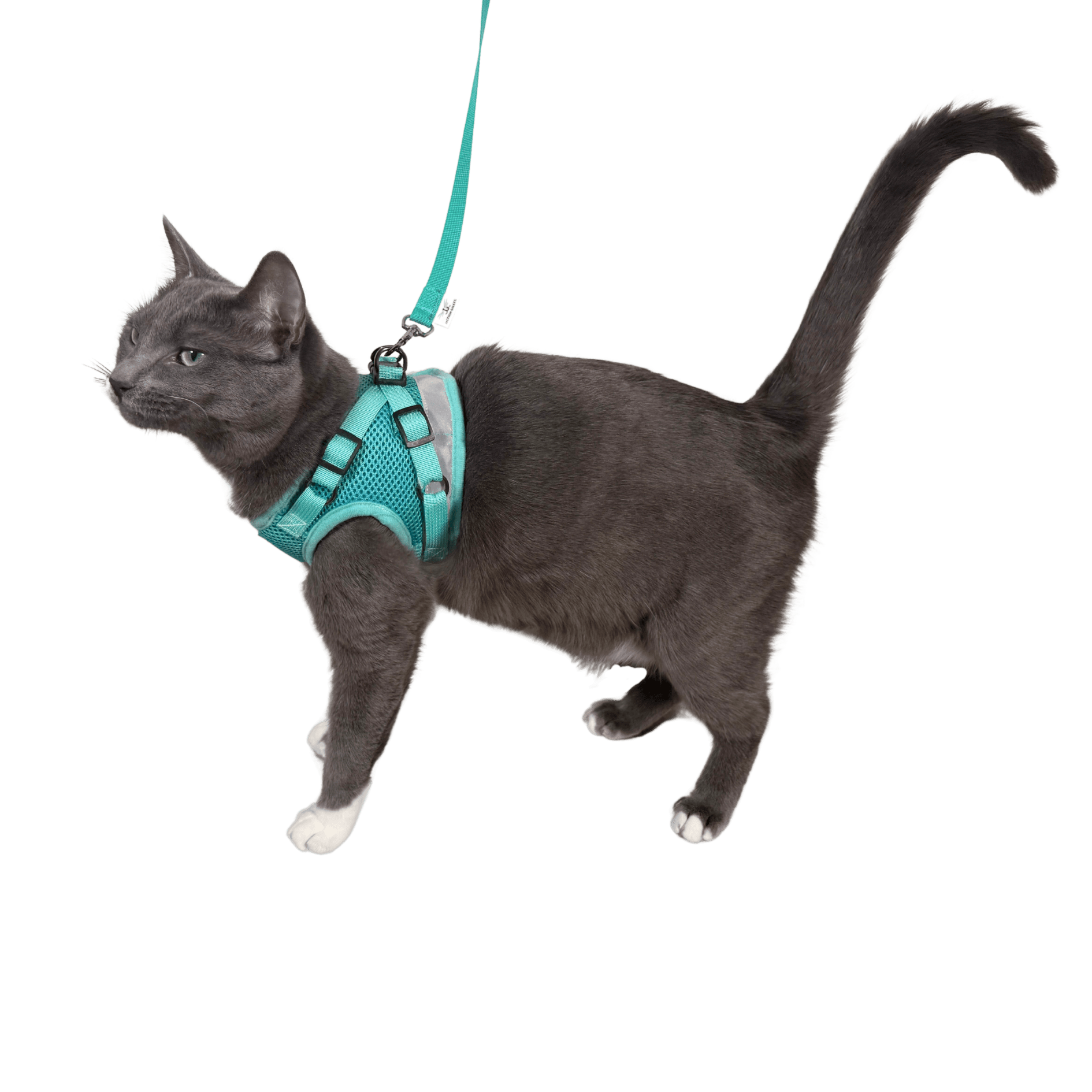 The Jackson Galaxy x Travel Cat Harness & Leash Set