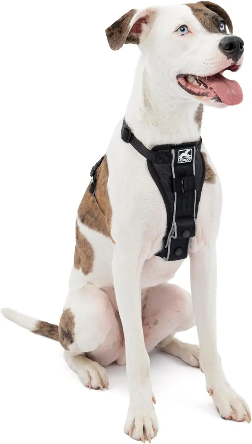 Tru-Fit Smart Dog Walking Harness - Comfortable Fit - Adjustable Harness - Reflective Pet Wear - Quick Strap Release - Daily Walk Accessory - Includes Seat Belt Loop - Black - Medium