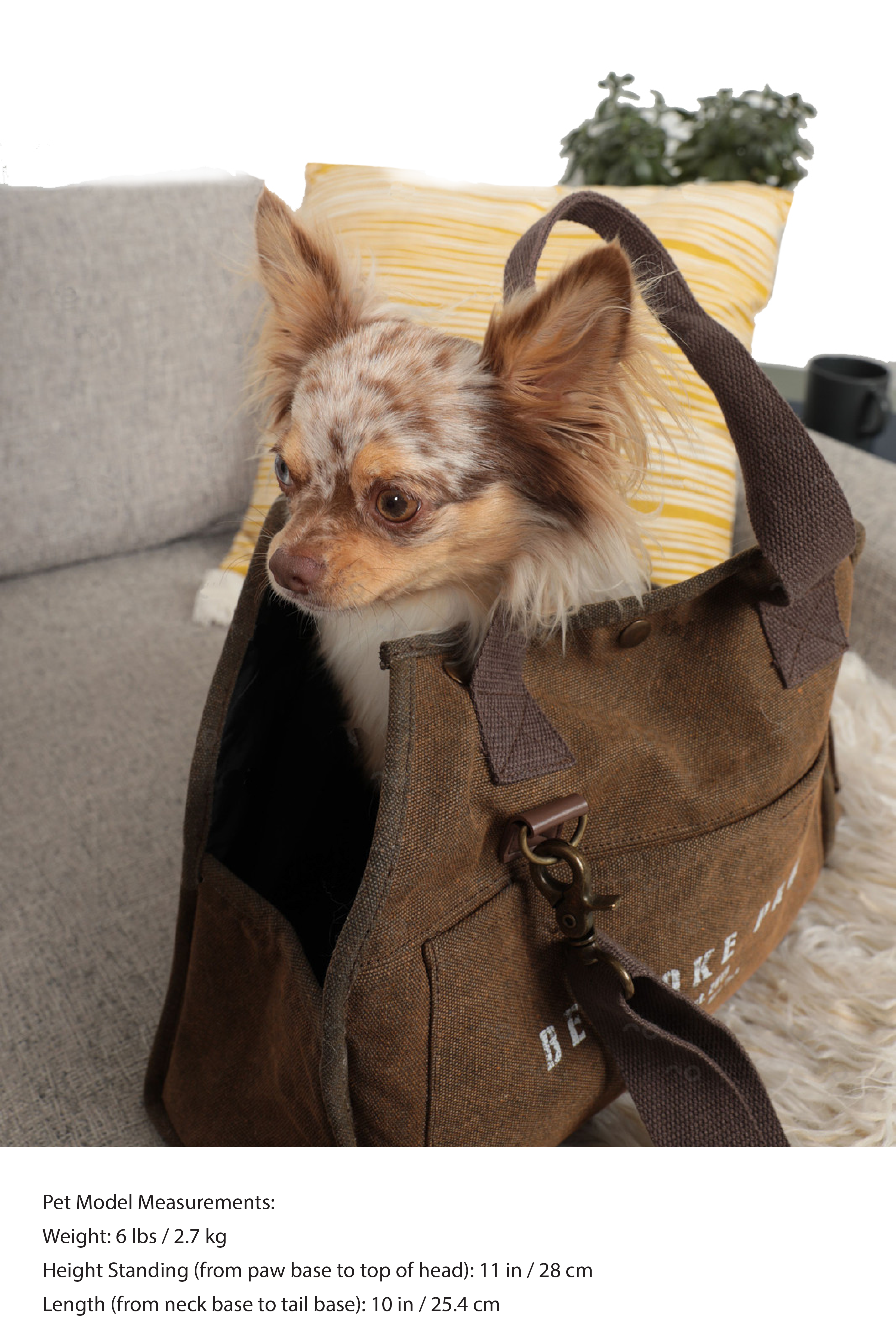 'The Daily' Packable Pet Carrier-S-Army