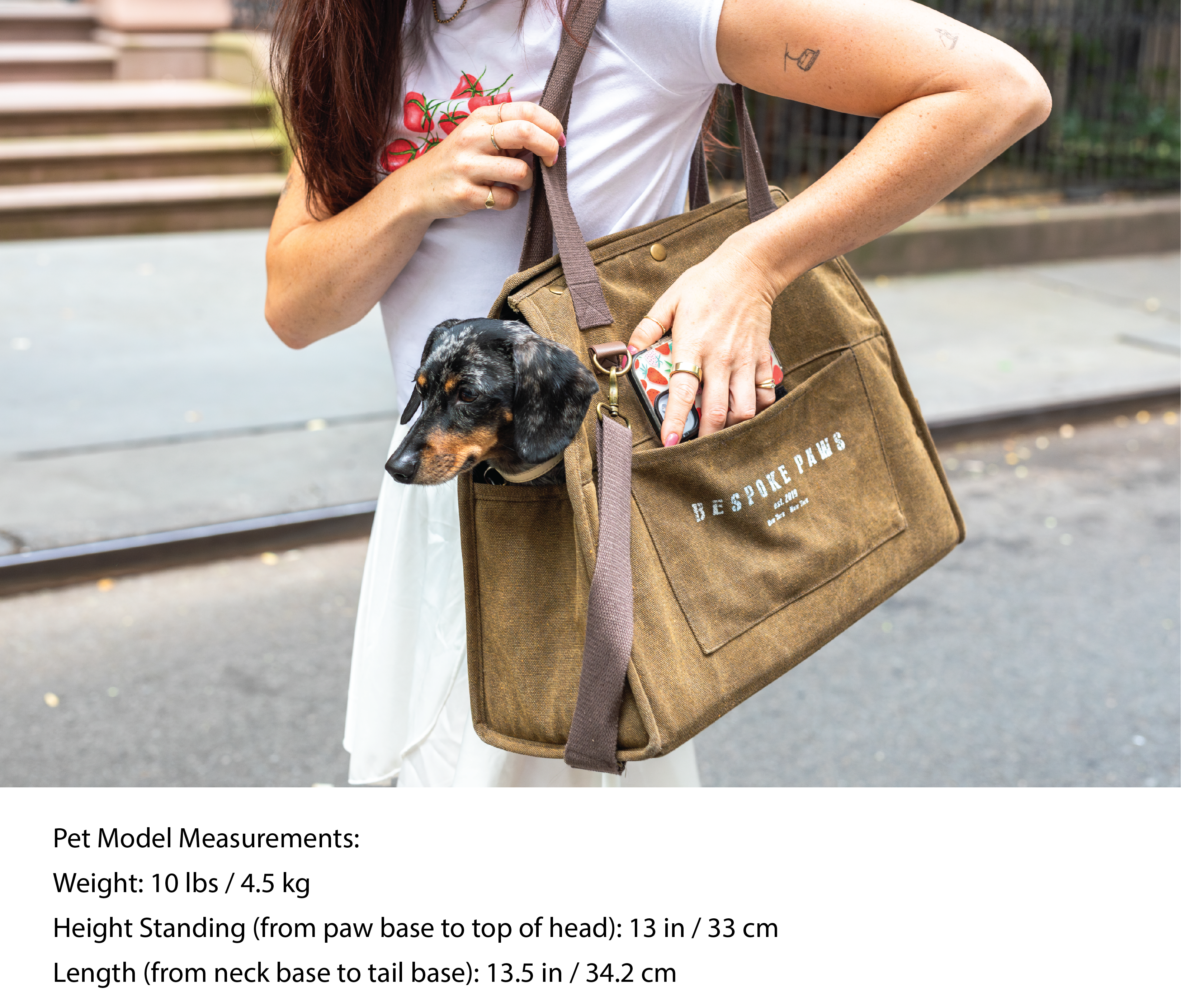 'The Daily' Packable Pet Carrier-M-Army