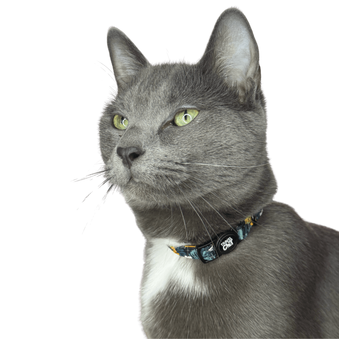 "The Hawaiian Shirt" Breakaway Cat Collar