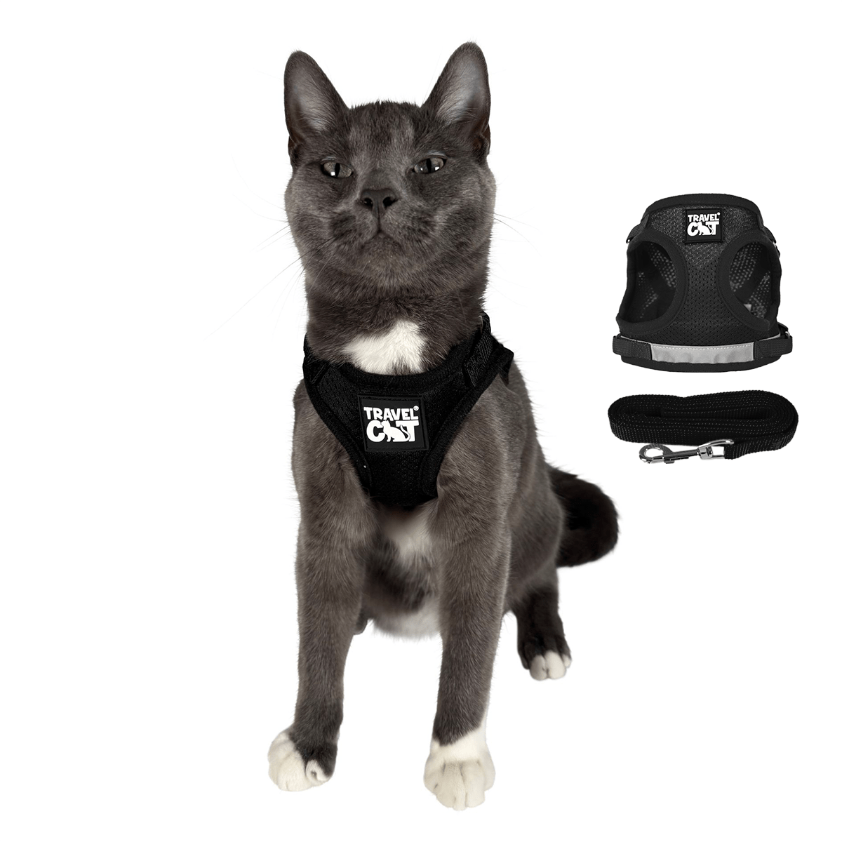 "Easy Starter" Bundle - The Odyssey Carrier, True adventure Harness, & The Captain Retractable Leash