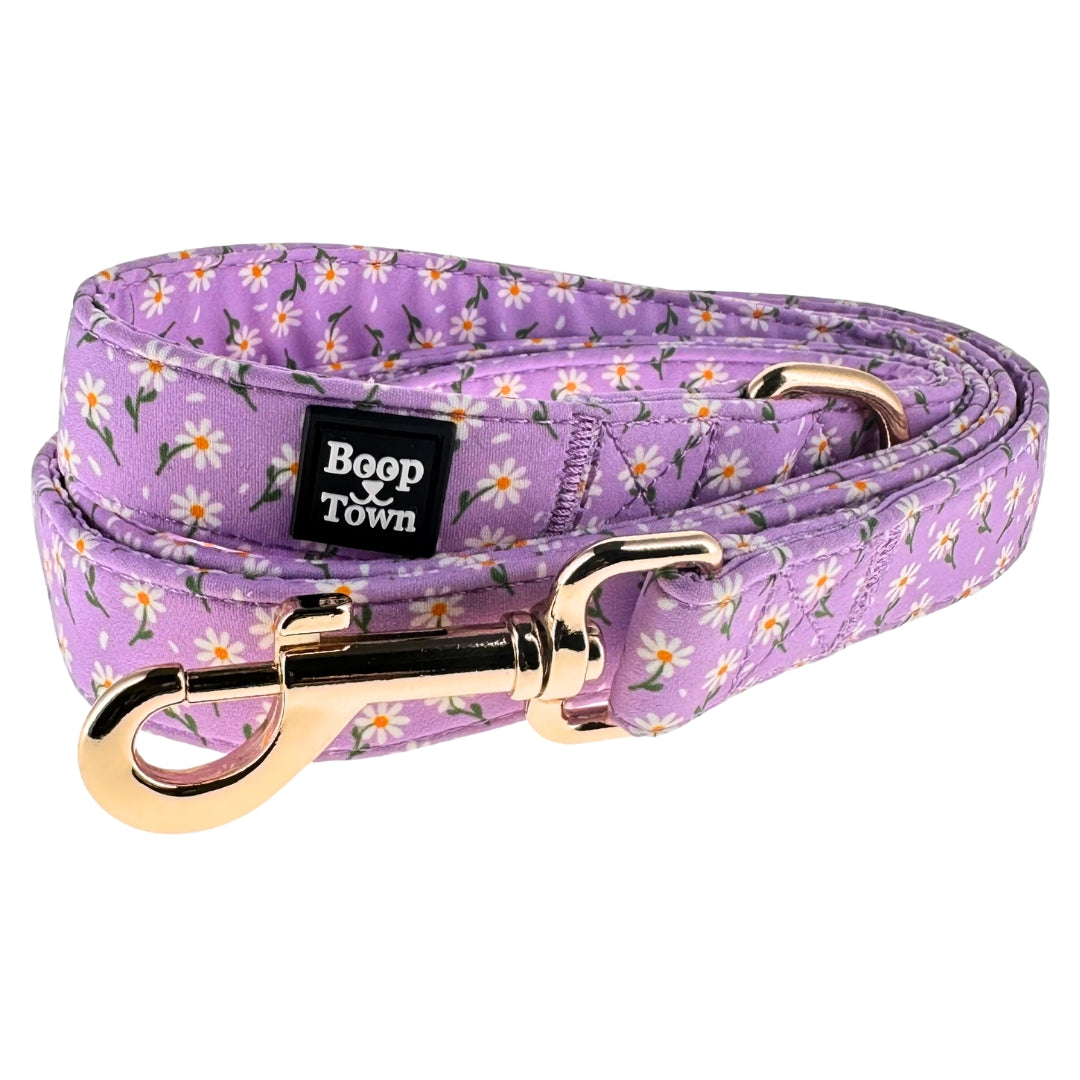 Purple Daisy Leash