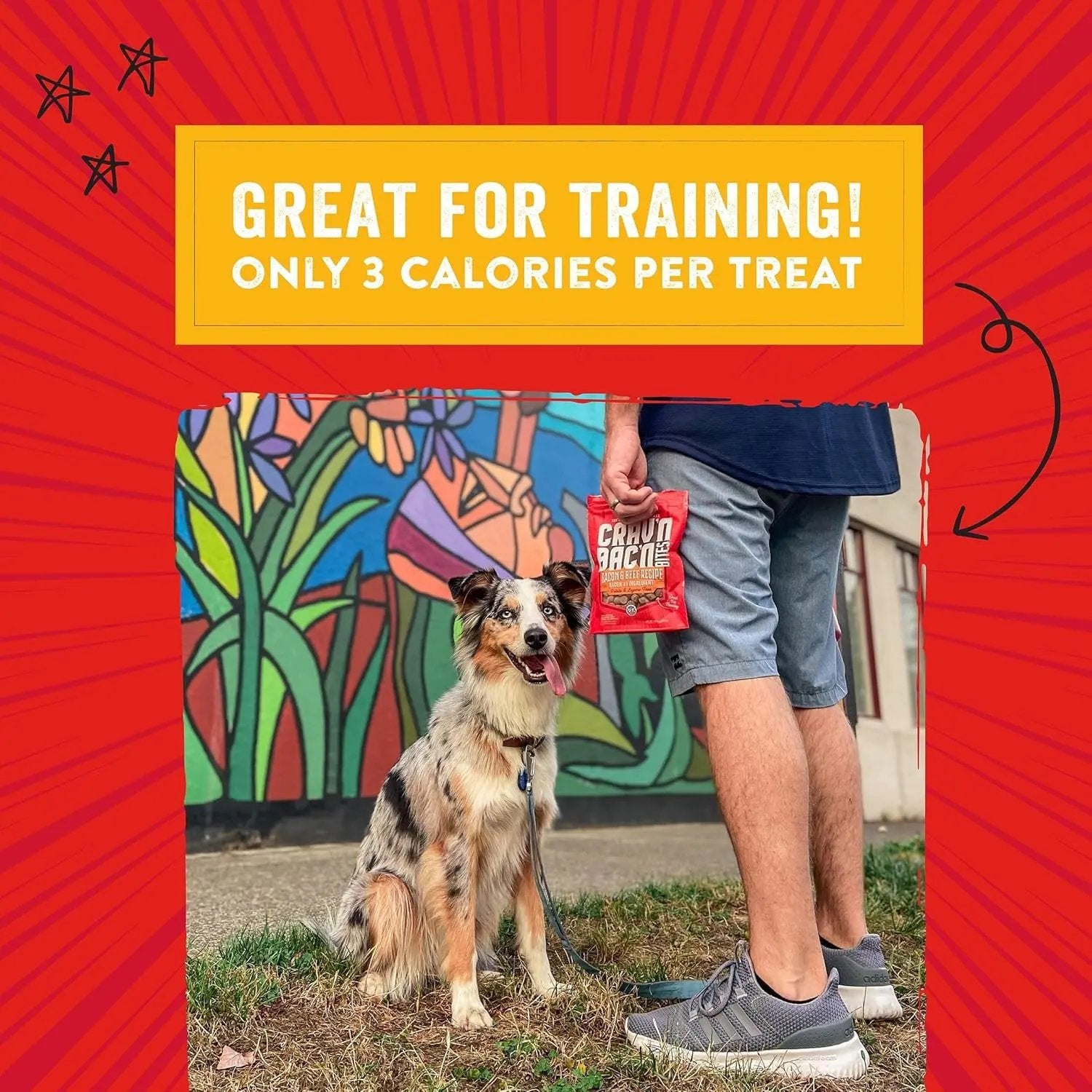 Training Dog Treats - Crav'N Bac'N Soft Bacon & Chicken Bites - Premium USA Made - Low Calorie Rewards - 8.25Oz