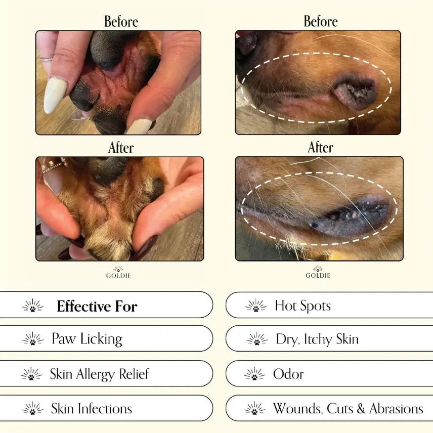 Miracle Mist - Dog Skin Treatment