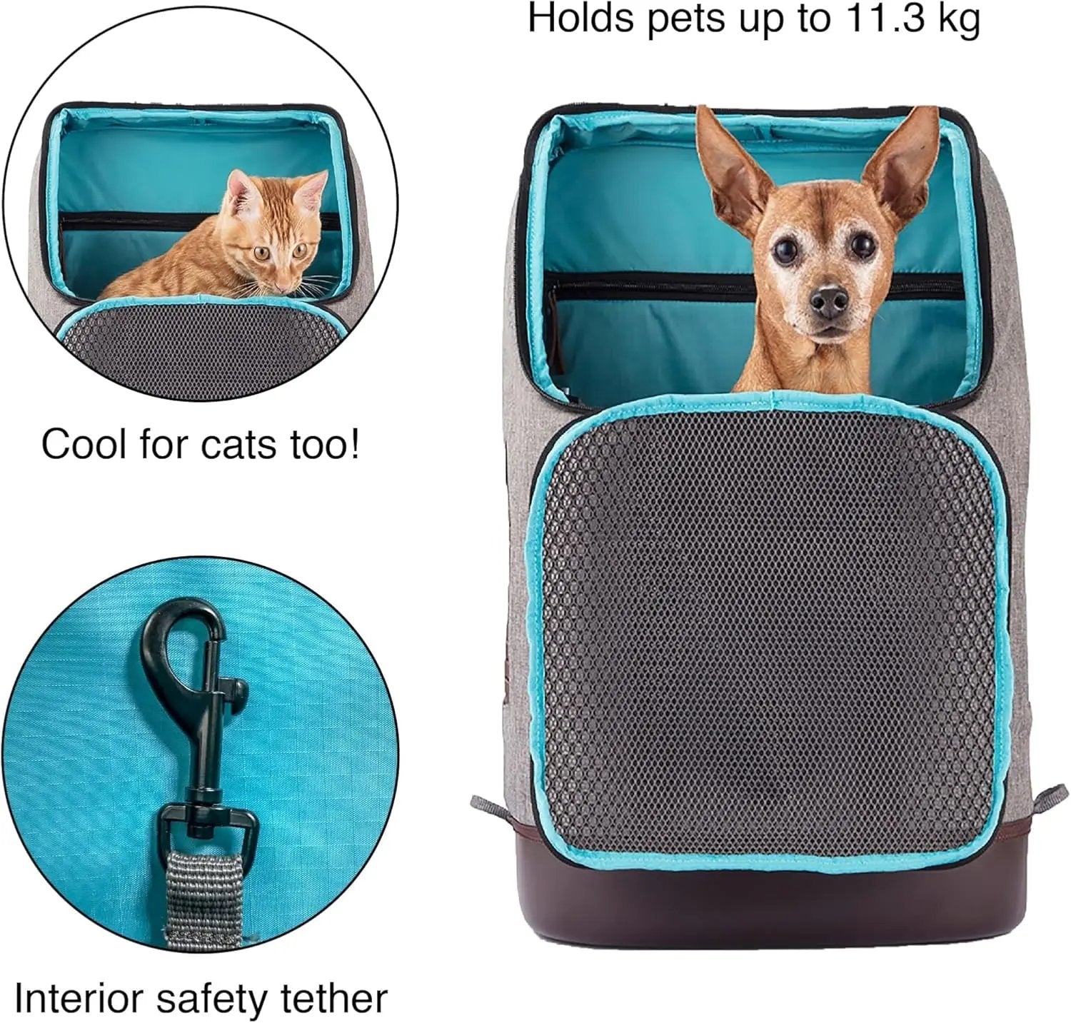 Dog Carrier Backpack for Small Pets - Hands-Free Pet Travel Backpack - Armorsole Base - Convertible Backpack to Carrier - Rugged Pet Backpack - Heather Grey