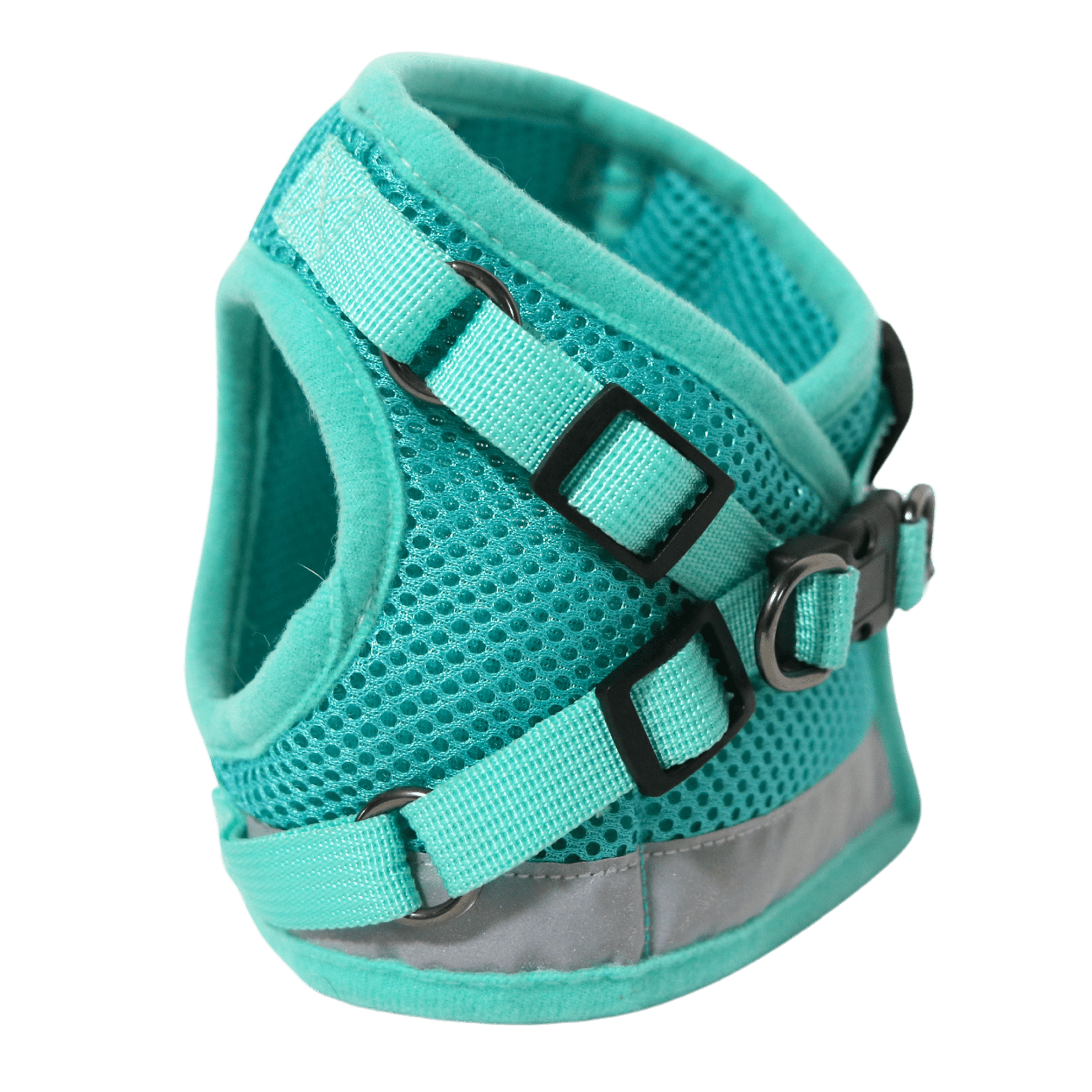 The Jackson Galaxy x Travel Cat Harness & Leash Set