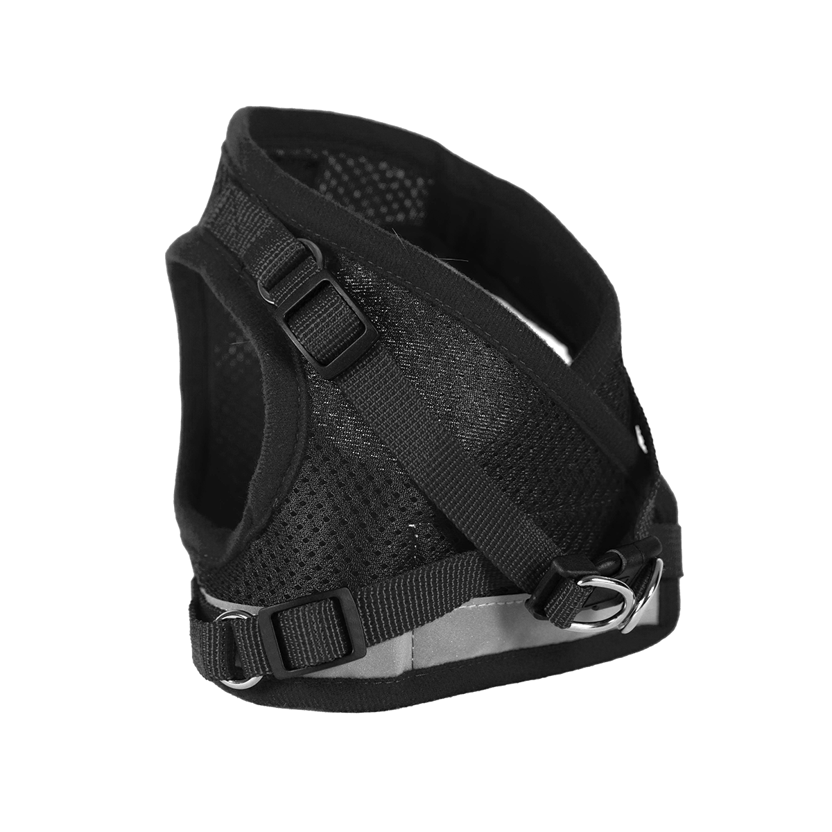 "The Outdoorsy Cat" Bundle