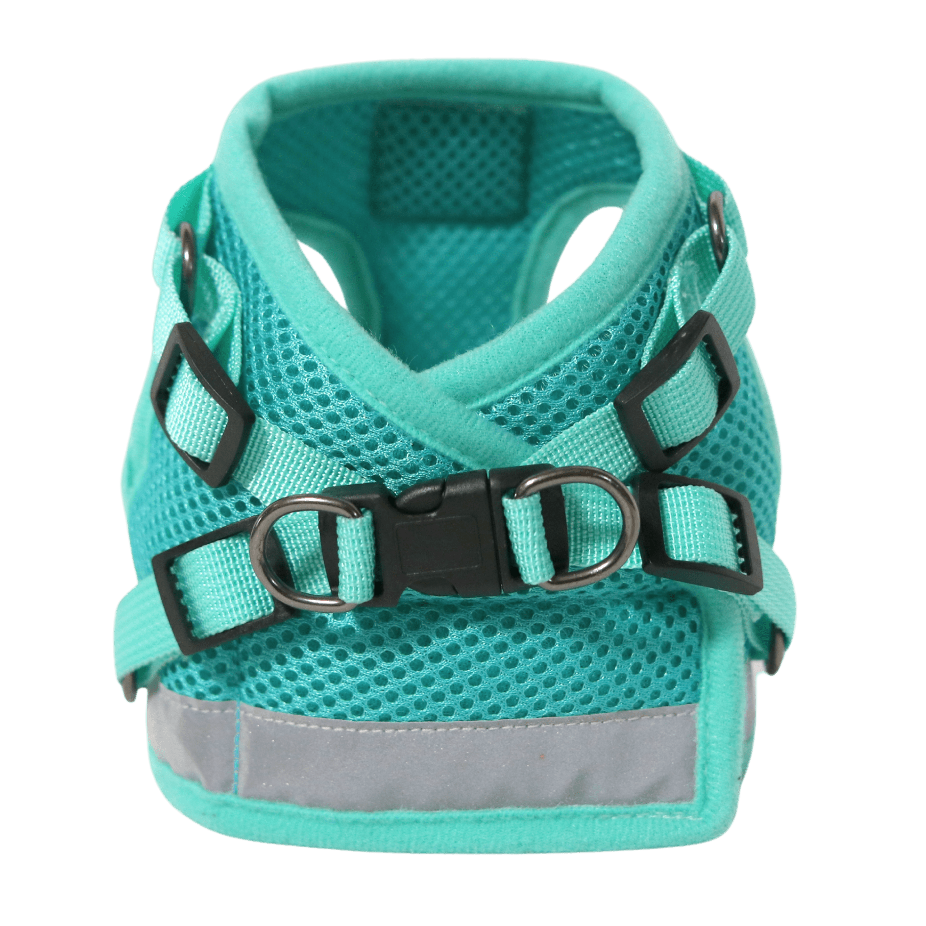 The Jackson Galaxy x Travel Cat Harness & Leash Set