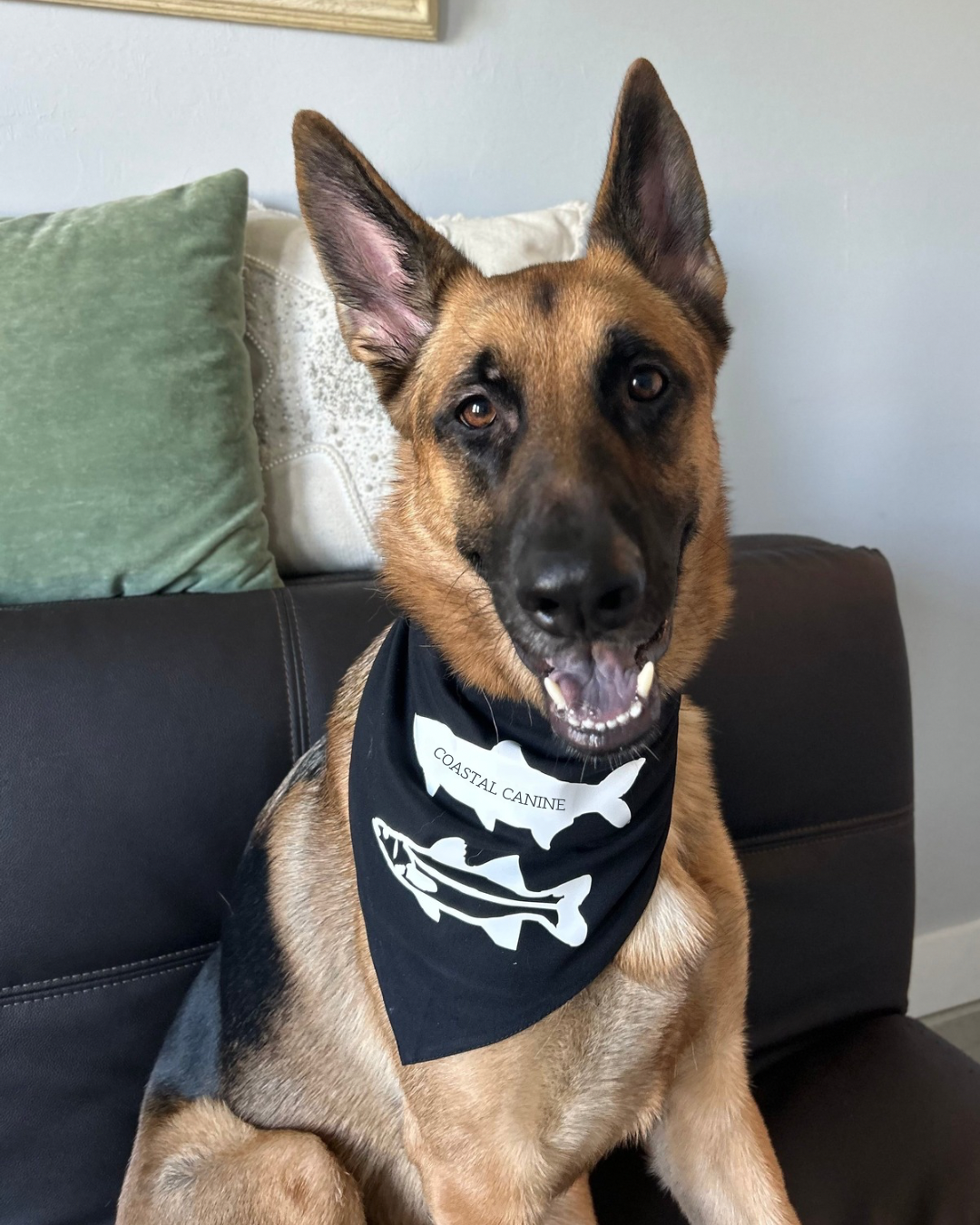 Snook & Tarpon Dog Bandanna