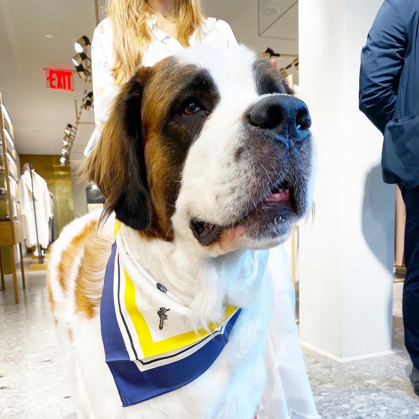 Erin 100% Silk Twill Dog Scarf, or Bandana