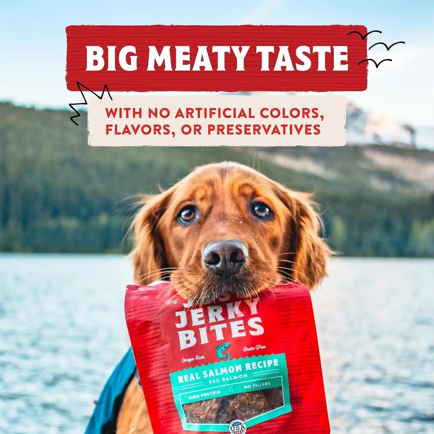 Premium Beef Jerky Dog Treats - 95% Real Meat Bites for Sensitive Stomachs
