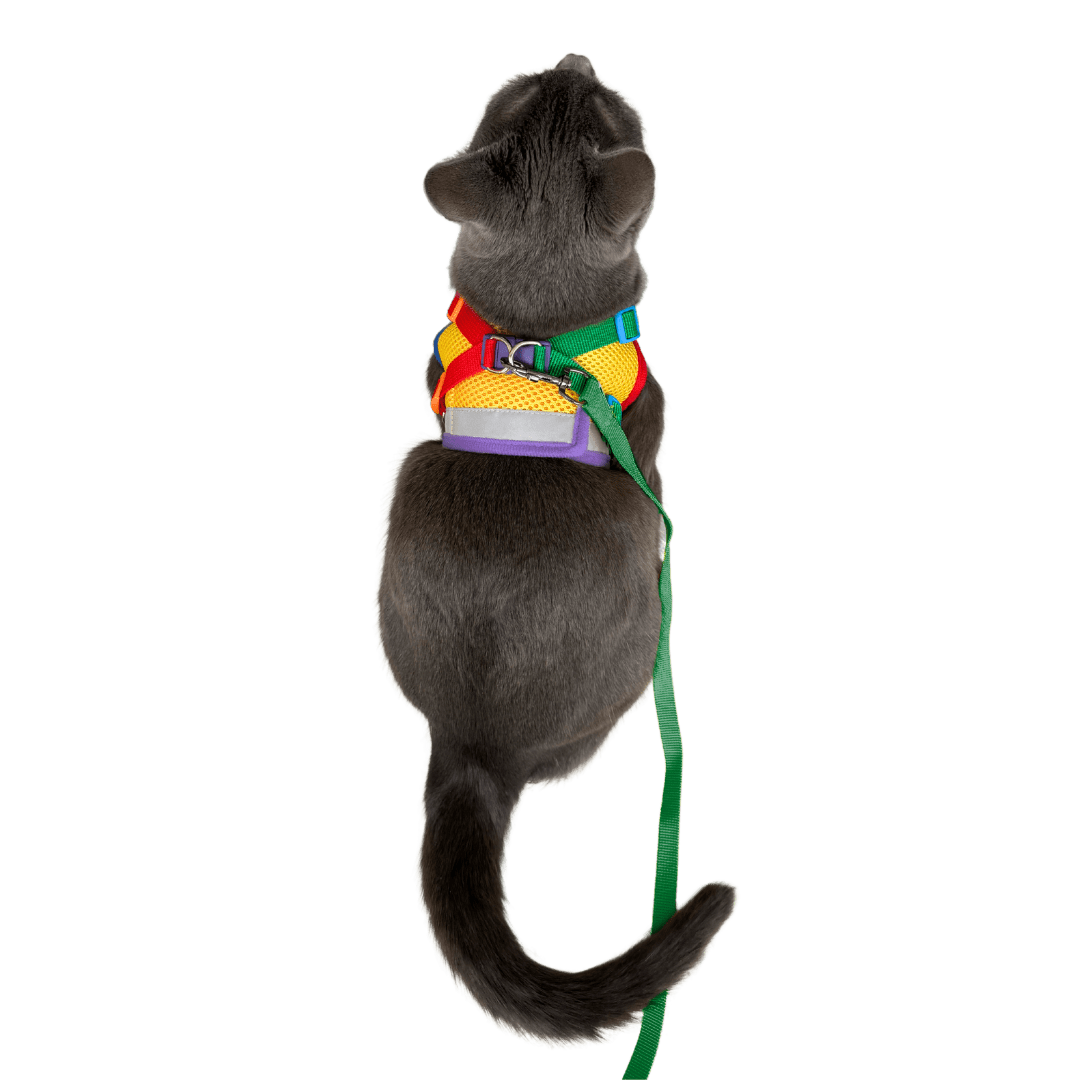 "The Rainbow" Limited Edition Cat Harness & Leash Set