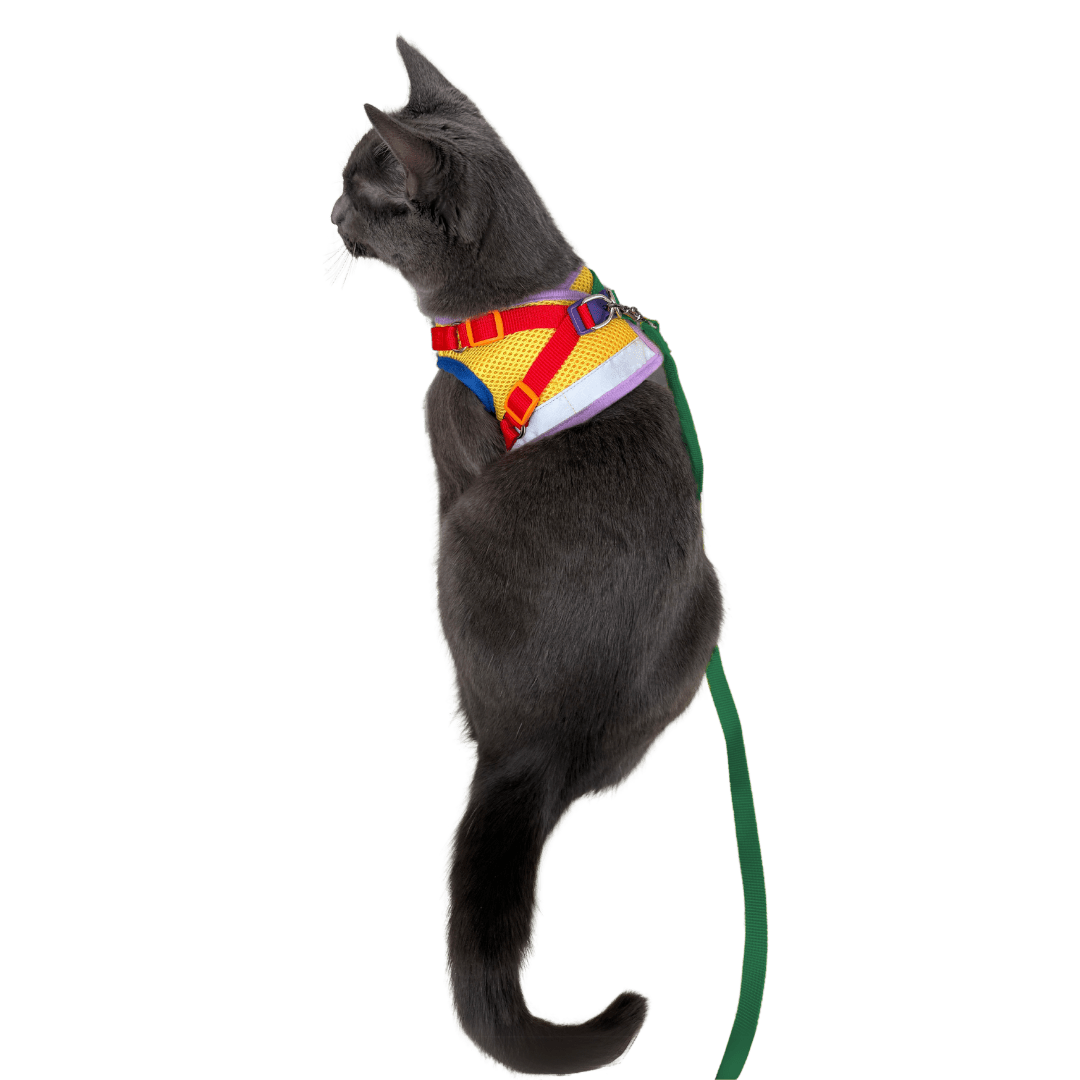 "The Rainbow" Limited Edition Cat Harness & Leash Set