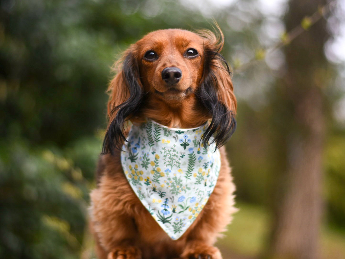"Heart Breaker" Dog Bandana