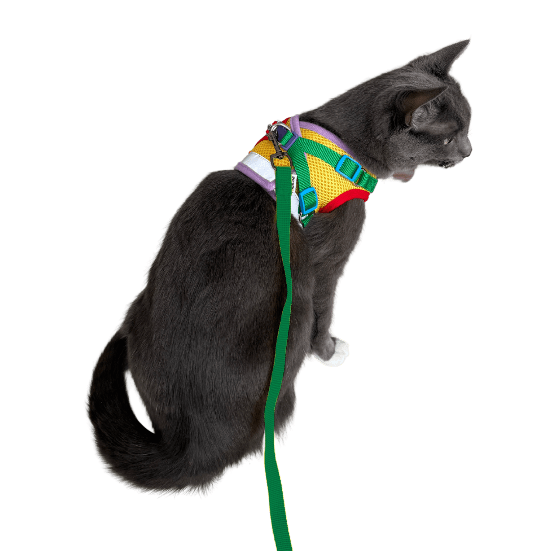"The Rainbow" Limited Edition Cat Harness & Leash Set