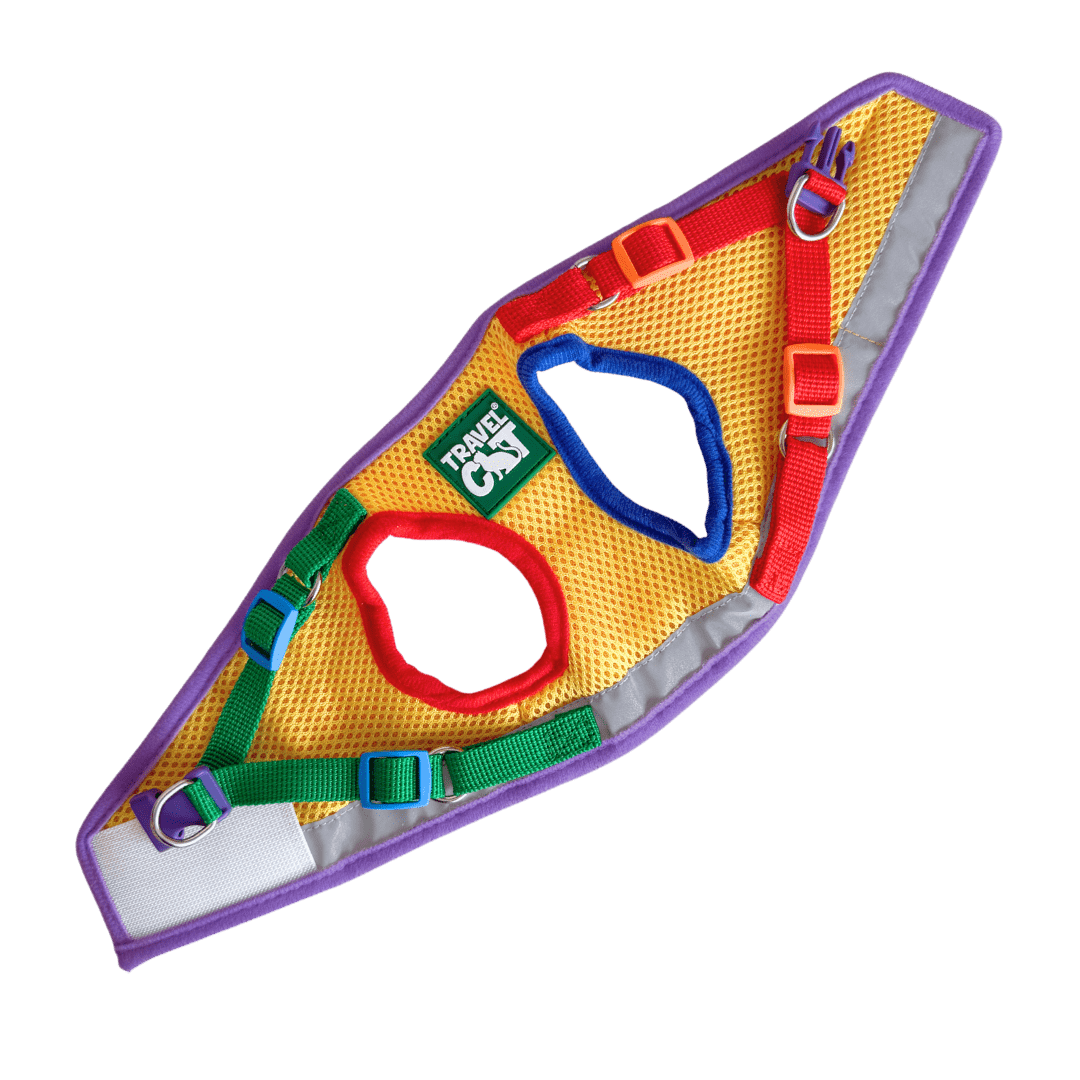 "The Rainbow" Limited Edition Cat Harness & Leash Set