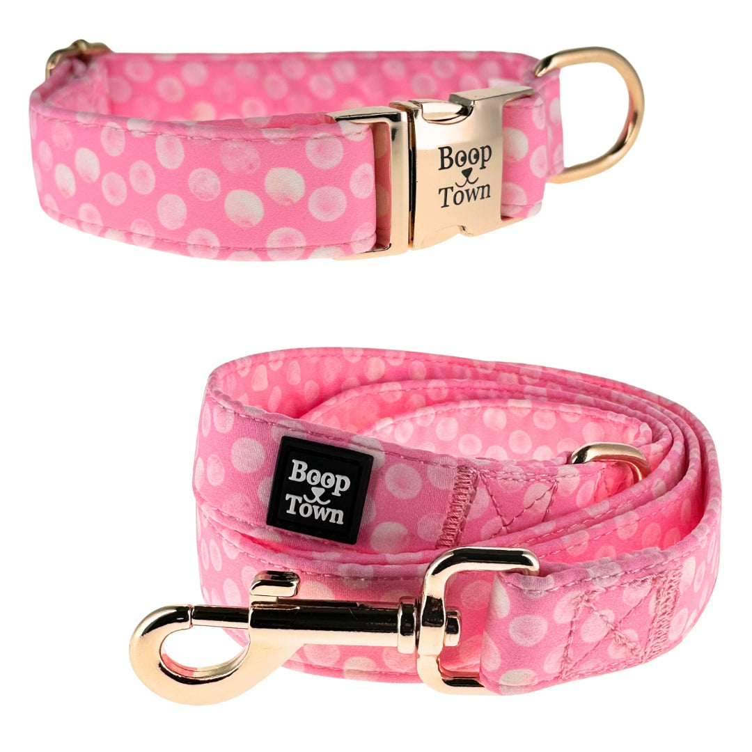 Dog Collar & Leash Sets
