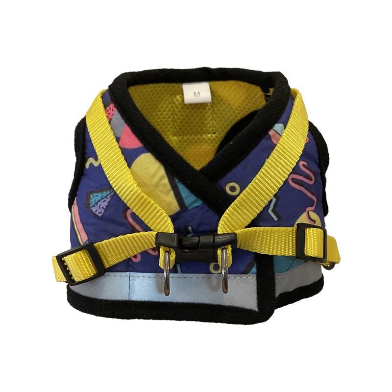 The 90s Bundle! Bandana, Harness & Leash