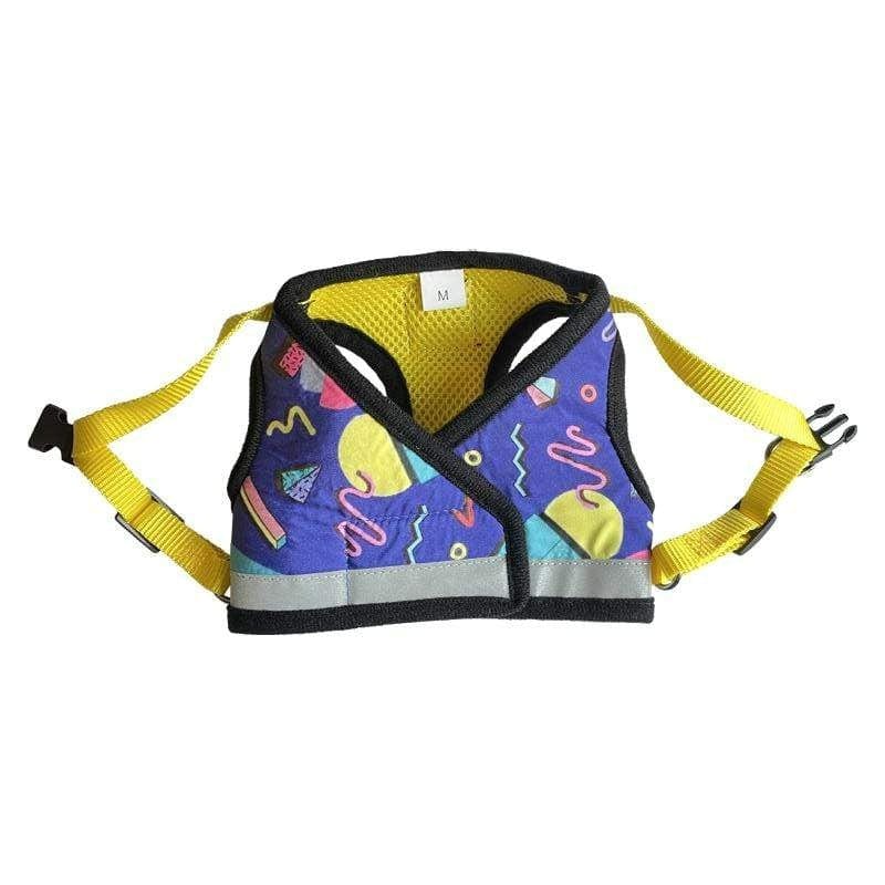The 90s Bundle! Bandana, Harness & Leash