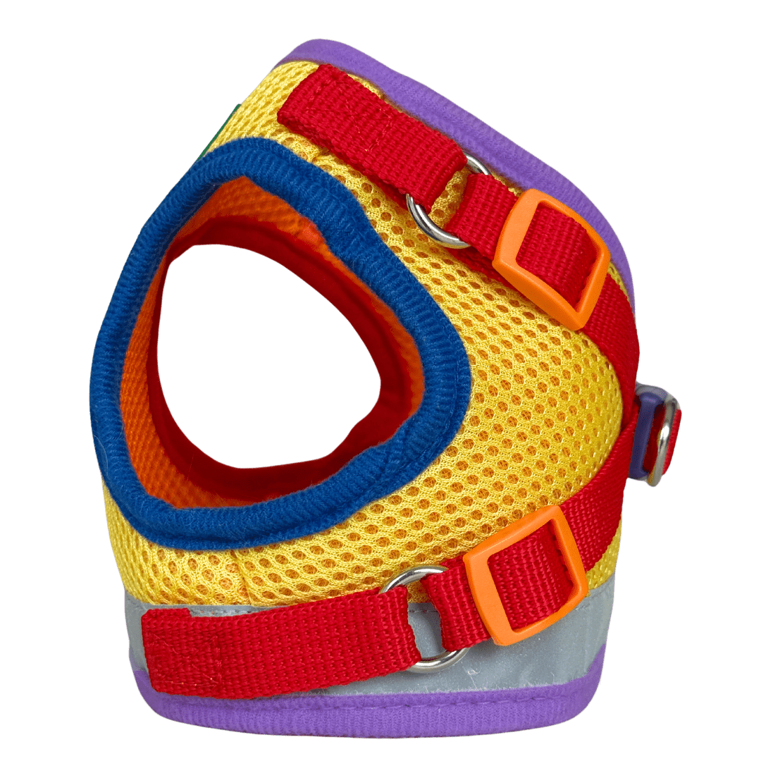 "The True Adventurer" Reflective Cat & Kitten Harness and Leash