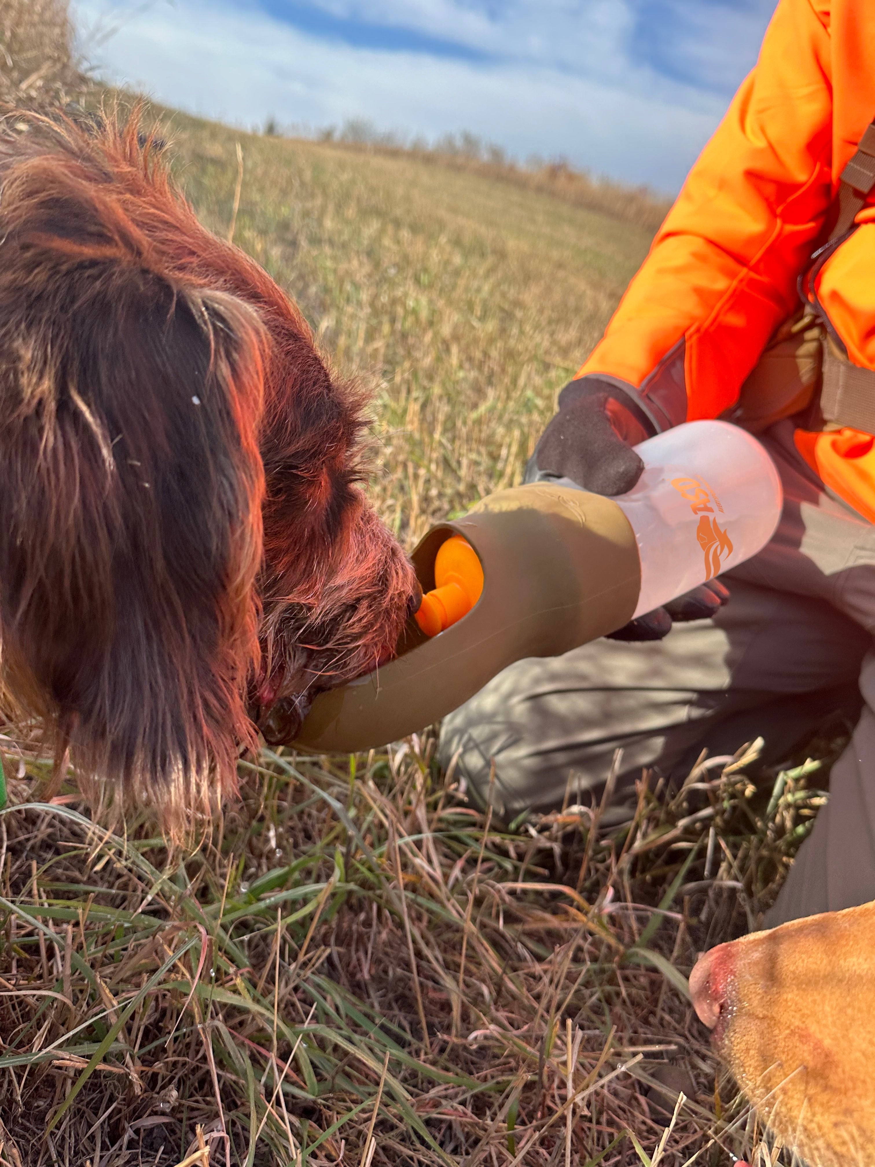 FieldQuench Dog Bowl Bottle