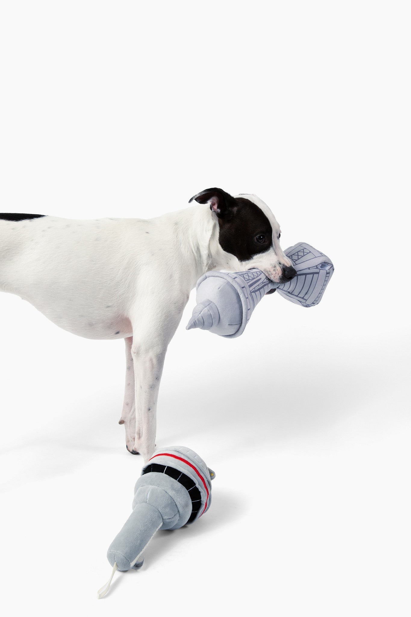 Dog In Seattle Nose Work Dog Toy