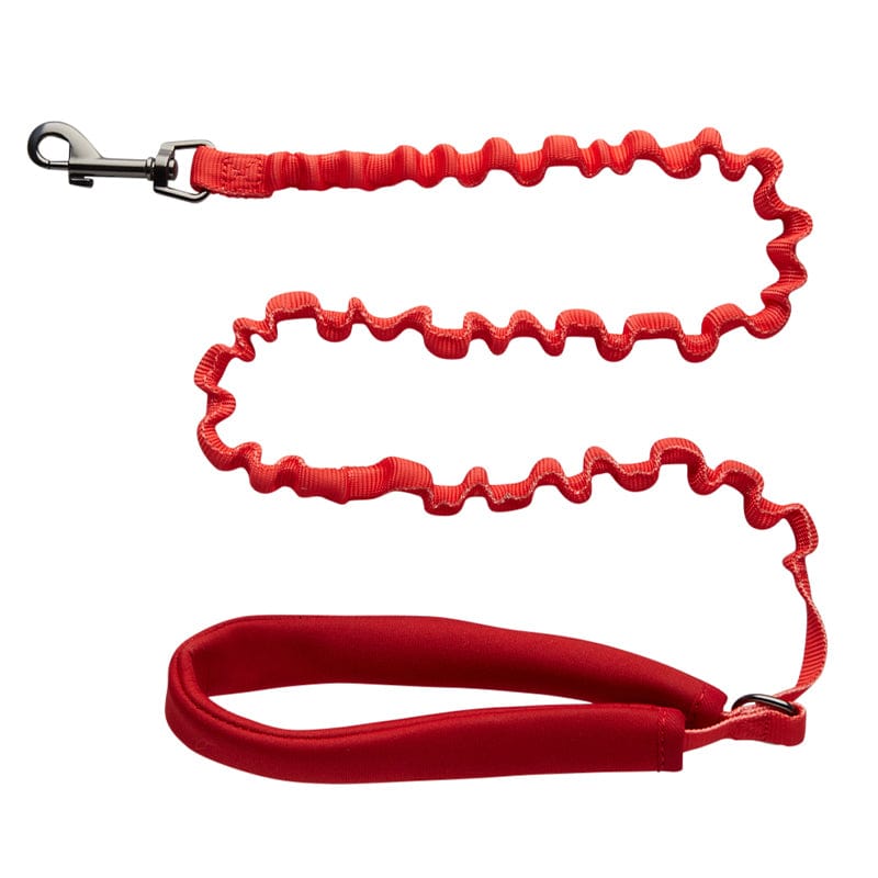 "The Day Tripper" Perfect Adjustable H-Style Cat Harness & Bungee Leash Set - Color Block