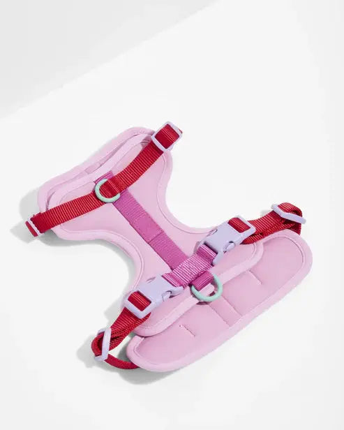 Dog Harness Adjustable Soft Stretch Poly Nylon