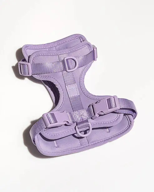 Dog Harness Adjustable Soft Stretch Poly Nylon