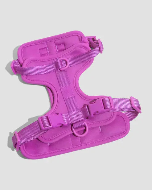 Dog Harness Adjustable Soft Stretch Poly Nylon