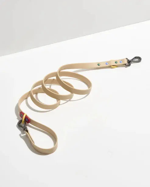 Dog Leash Waterproof Flex Poly Coated Nylon