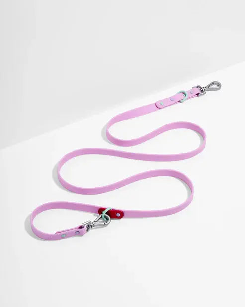 Dog Leash Waterproof Flex Poly Coated Nylon