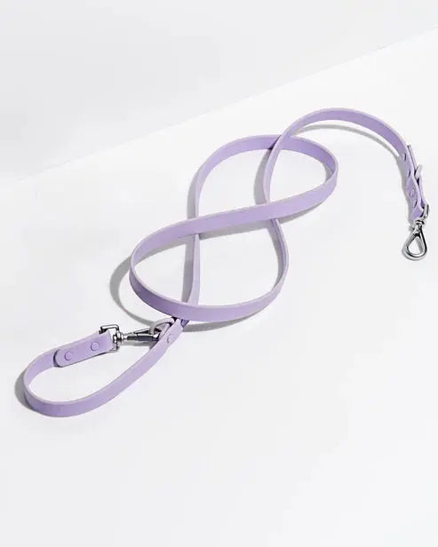 Dog Leash Waterproof Flex Poly Coated Nylon