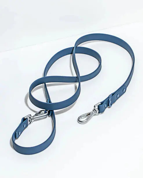 Dog Leash Waterproof Flex Poly Coated Nylon