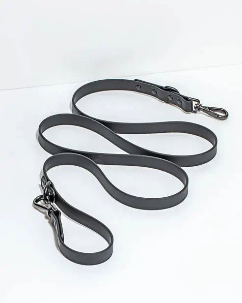 Dog Leash Waterproof Flex Poly Coated Nylon