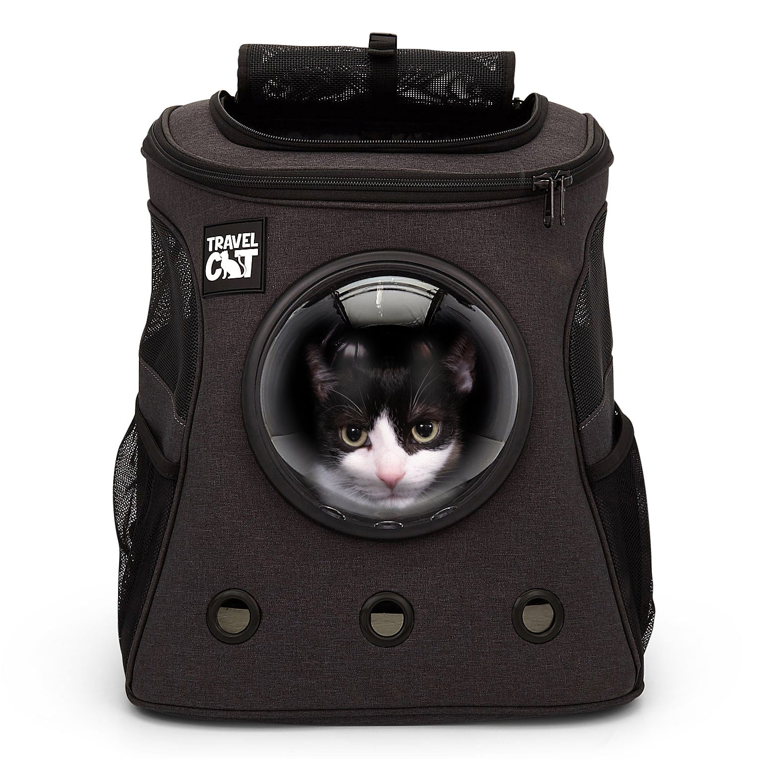 "The Adventure Cat Essential" Bundle: Cat Backpack, Harness, Leash, and Travel Bowl