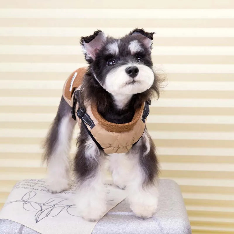 Pet Coat with Harness