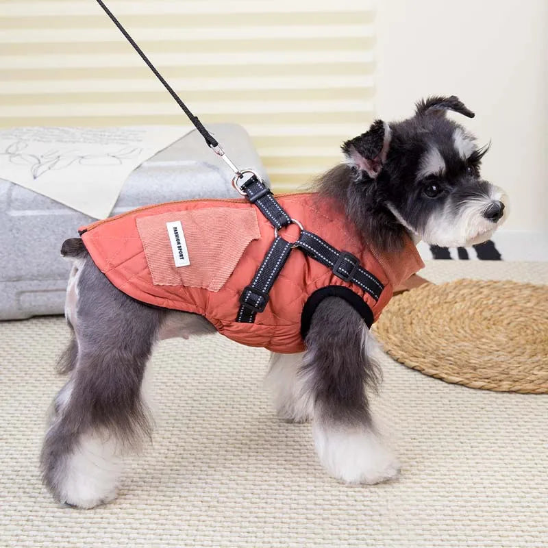 Pet Coat with Harness