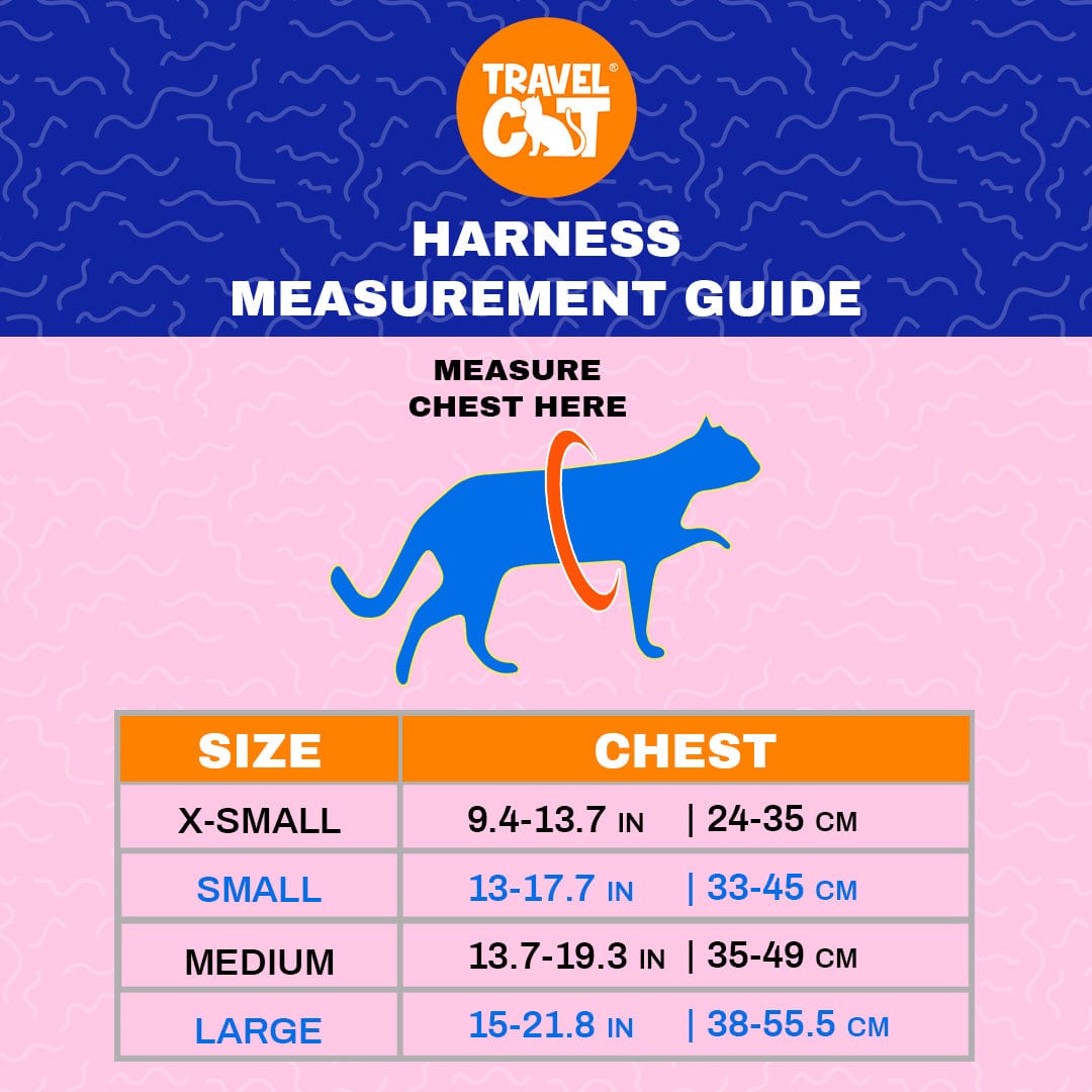 "The '90s Cat" Limited-Edition Harness & Leash Set