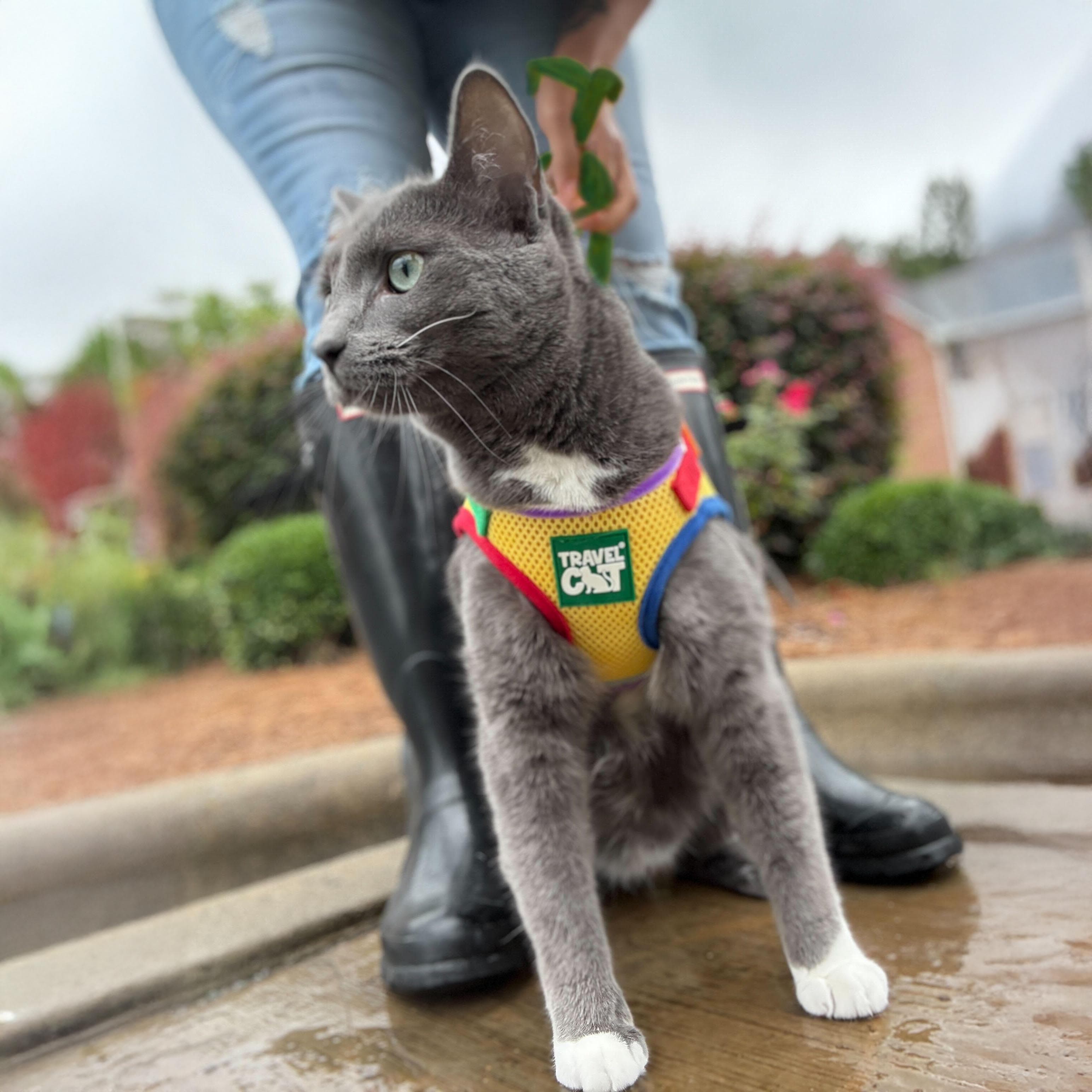 Rainbow Bundle - Fat Cat Mini Rainbow & Harness & Leash Set